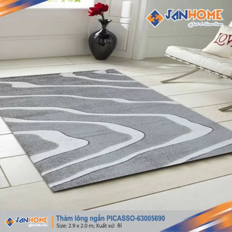 Thảm Bỉ lông ngắn PICASSO-63005690