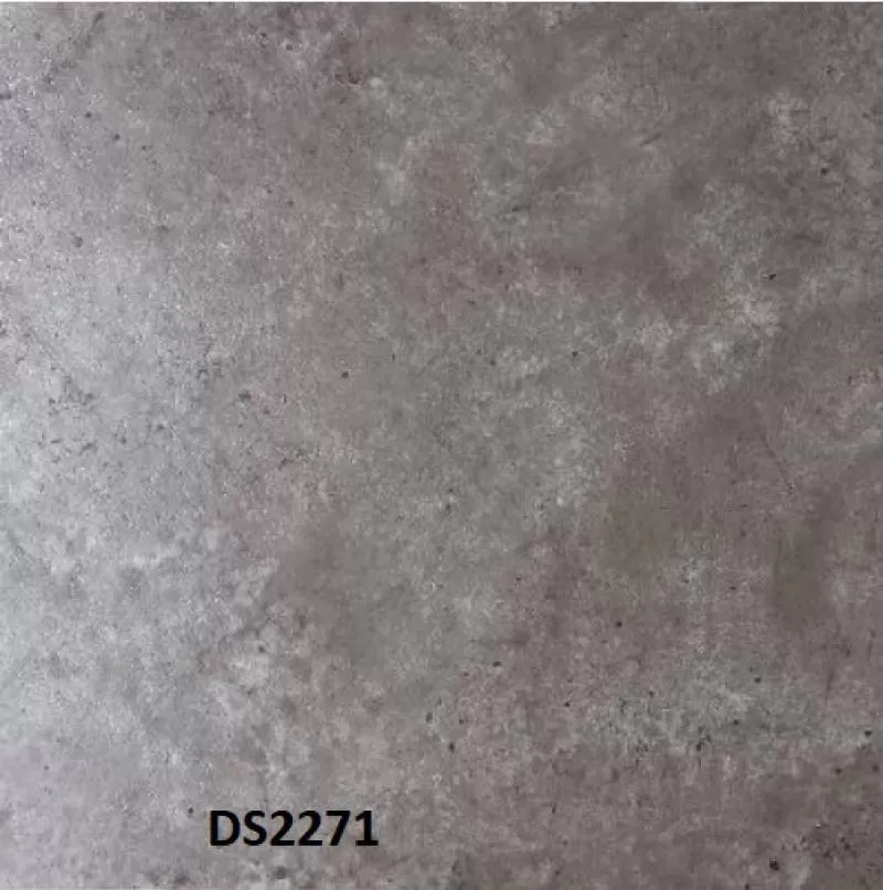DS2271 