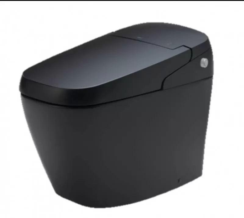 Bàn cầu điện tử AC-G216VN/BKG