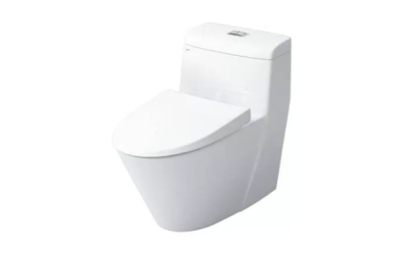 Bàn cầu 1 khối AC-909VRN