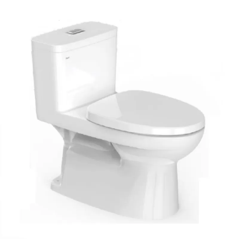 Bàn cầu 1 khối AC-969VN-2