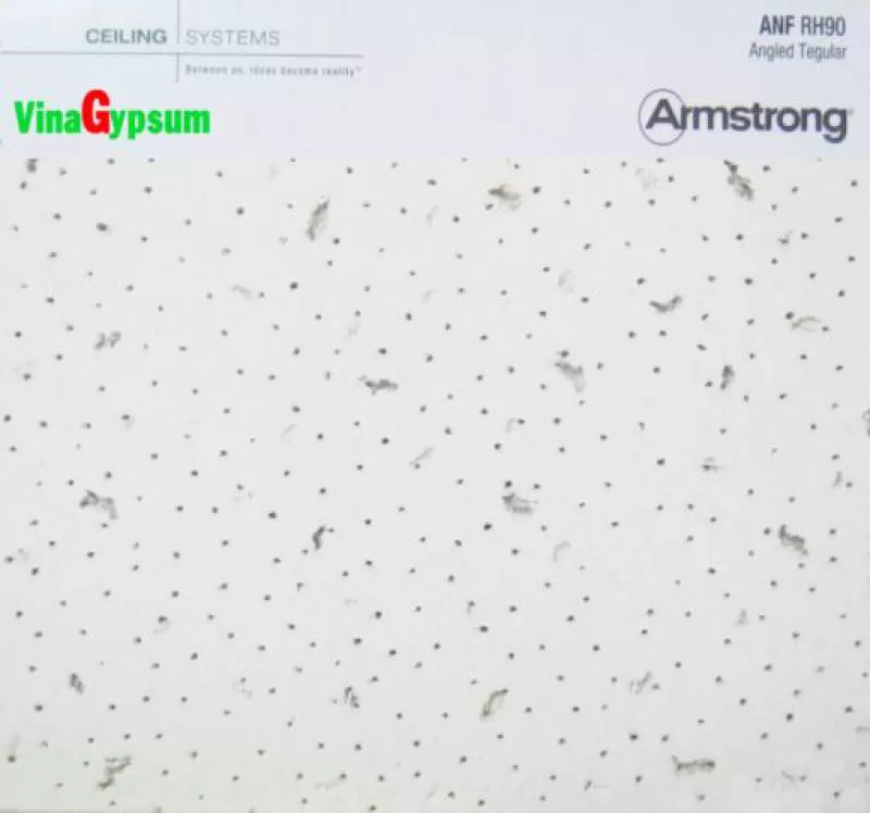 Tấm ANF RH90 – ArmStrong – MỸ