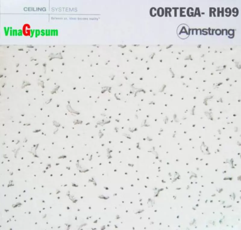 Tấm Cortega RH99 – ArmStrong – MỸ