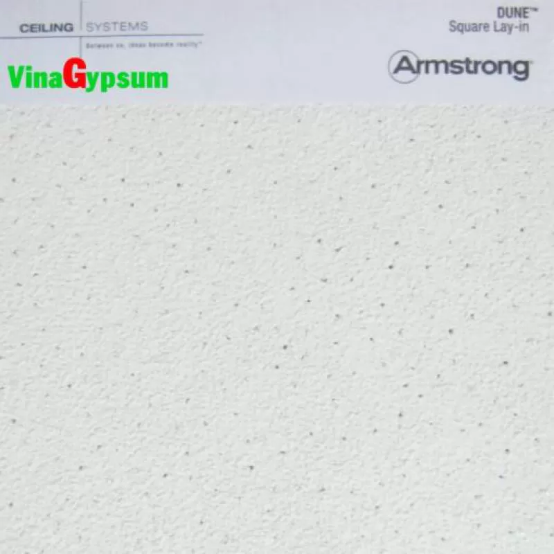 Tấm Dune – ArmStrong – MỸ