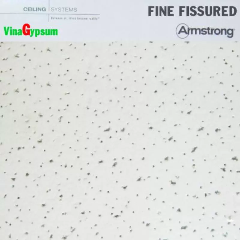 Tấm Fine Fissured – ArmStrong – MỸ