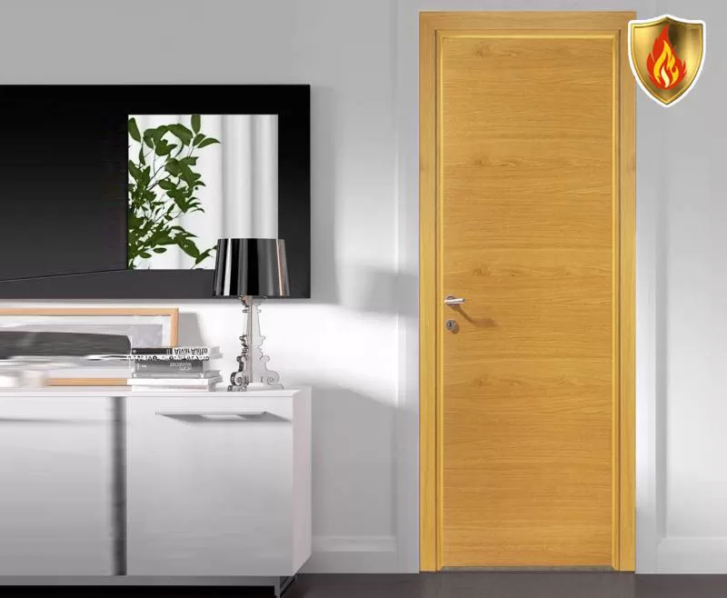Cửa gỗ chống cháy - W9103