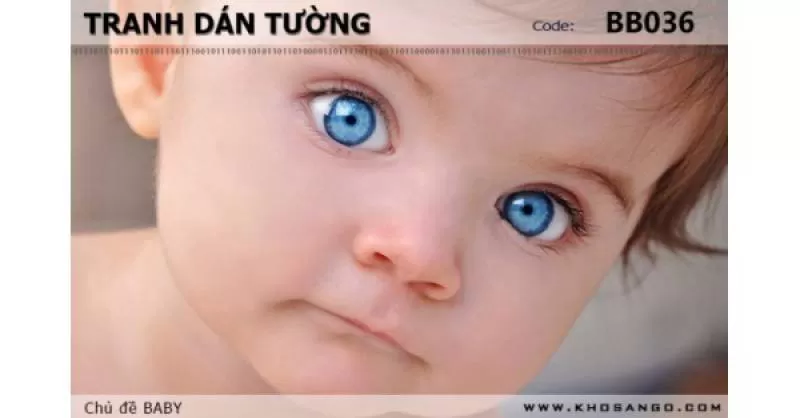 Tranh dán tường BABY BB036 