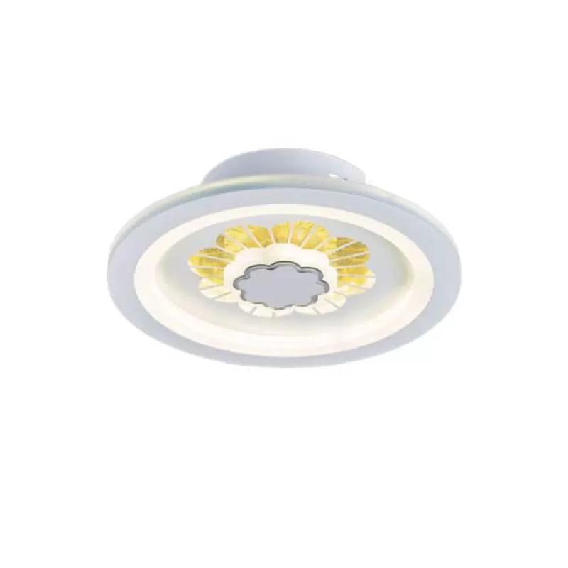 Đèn led ốp trần hành lang, shop và phòng thay đồ 21W D195mm EC-BT153