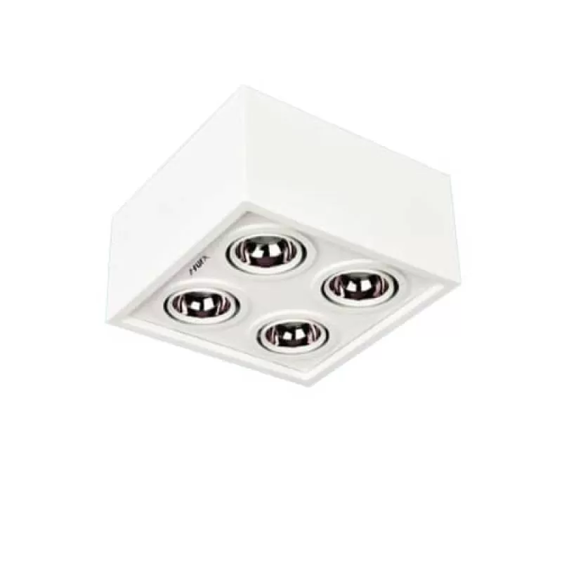 Đèn led gắn nổi 10x4W, màu ánh sáng 3000K-6000K, L200xH100mm HP-LN31