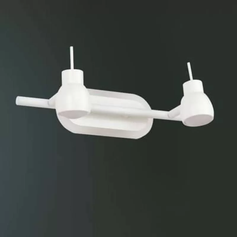 Đèn soi tranh phòng khách sang trọng 2 bóng VA-PT5797-2