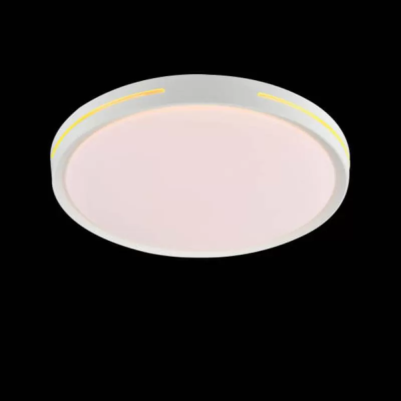 Đèn ốp trần ban công, hành lang, phòng thay đồ 3 màu D300mm EC-MSS667 