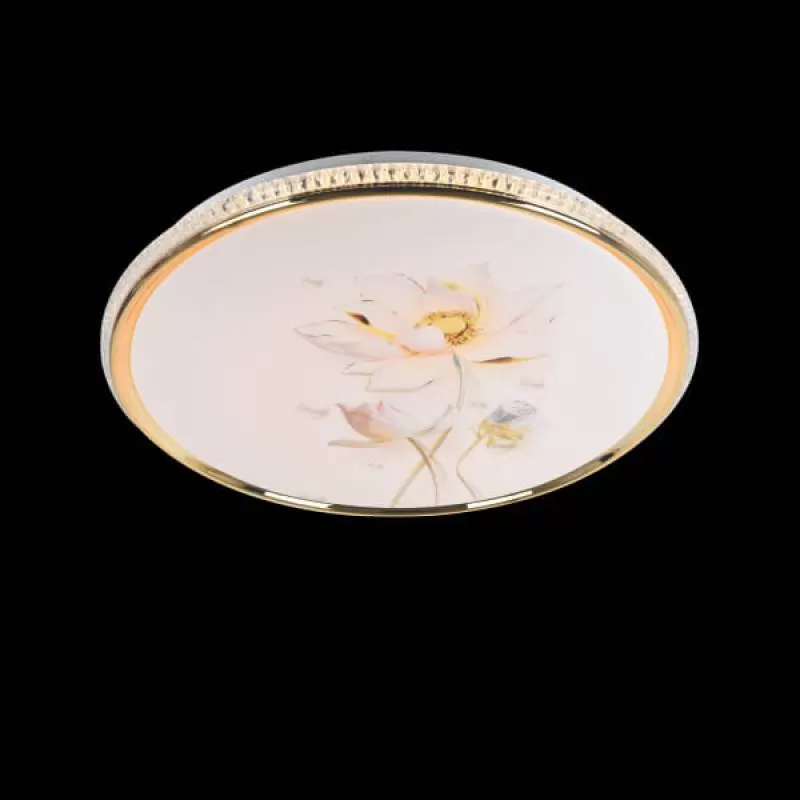 Đèn ốp trần ban công, hành lang, phòng thay đồ 3 màu D400mm EC-MSS675 