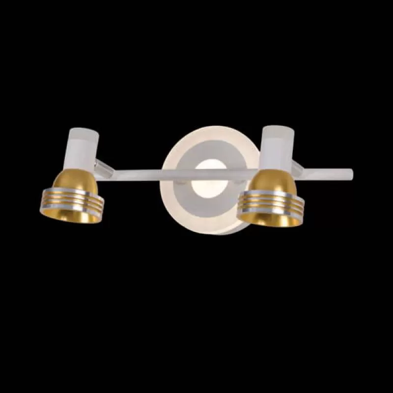 Đèn soi tranh phòng khách sang trọng 2 bóng HP-SG2215-2