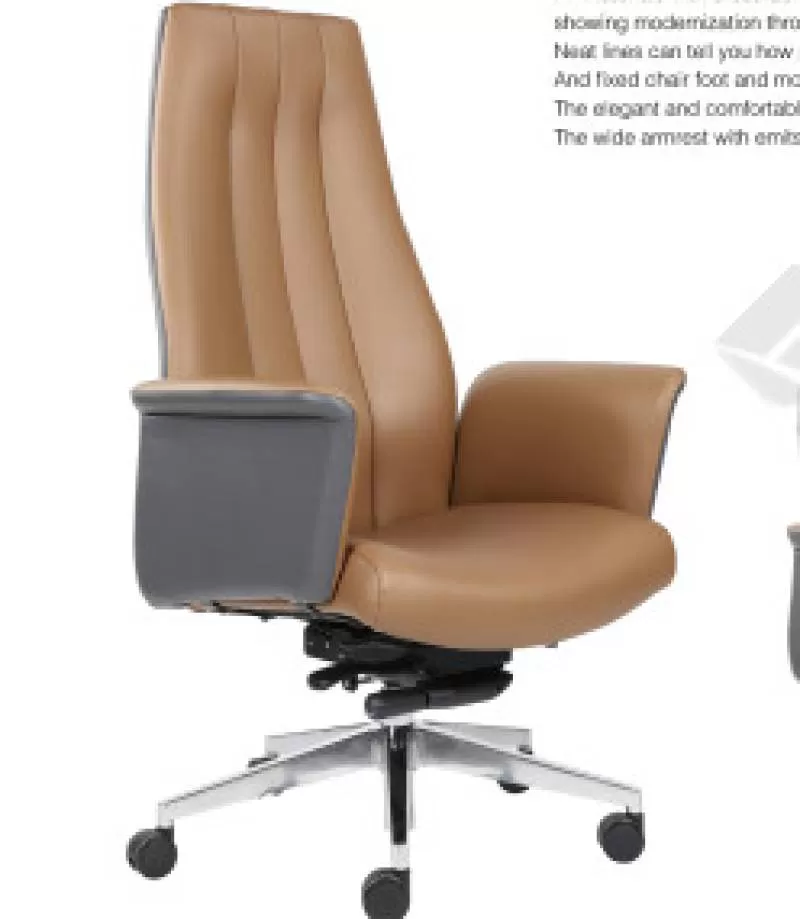 Ghế lãnh đạo Dious - Ghế lãnh đạo Dious DT8506A