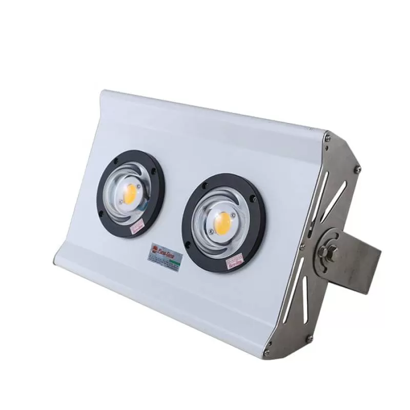 Đèn chiếu bè DC 150w Rạng Đông 