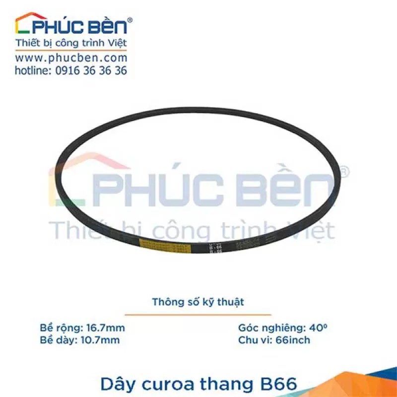 Dây curoa thang B66
