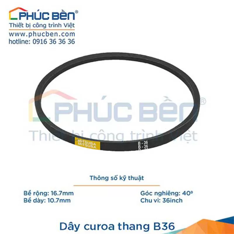 Dây curoa thang B36