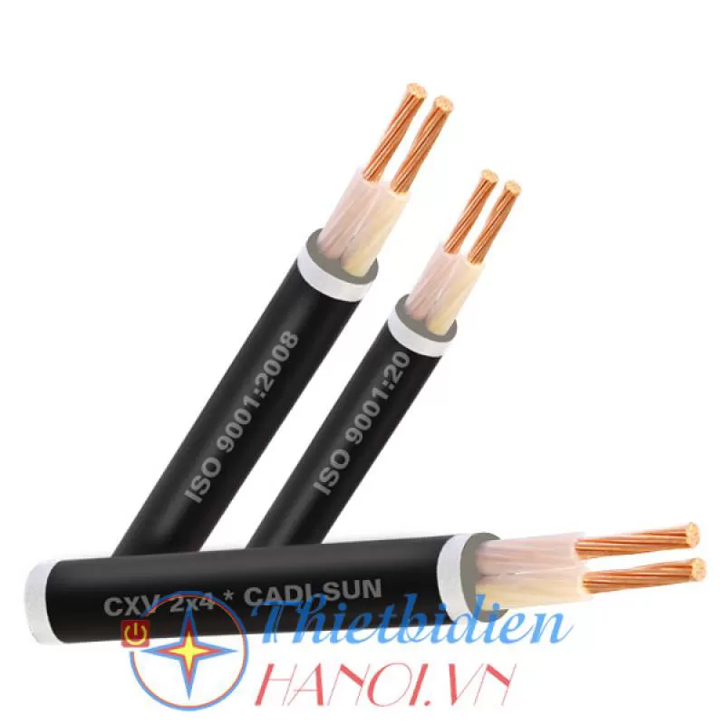 Dây cáp điện Cadisun, Cáp treo CXV 2x6