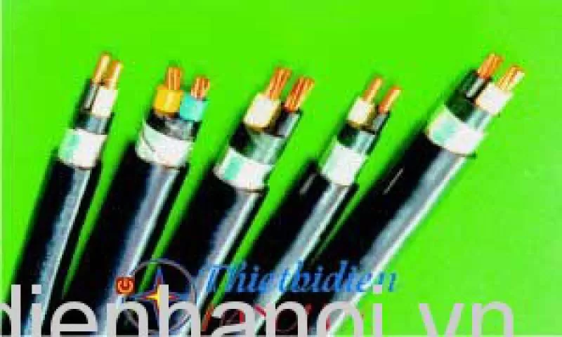 Dây cáp điện Cadivi, Cáp điện kế DK / CVV 3x35+1x25