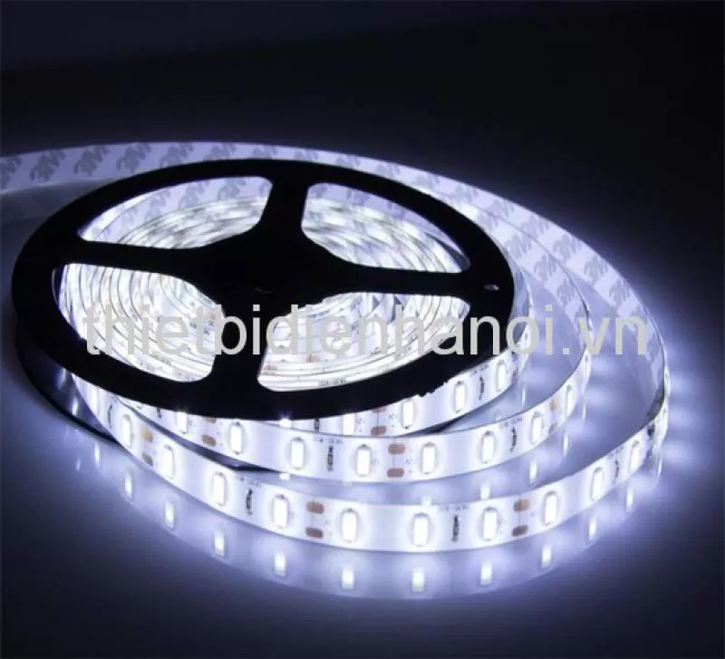 Đèn Led dây trang trí, hắt trần Comet (CS2533-10) 
