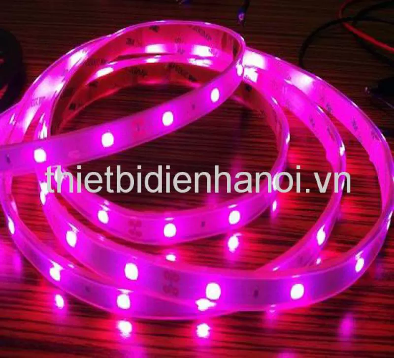 Đèn Led dây trang trí, hắt trần Comet (CS2563-5)