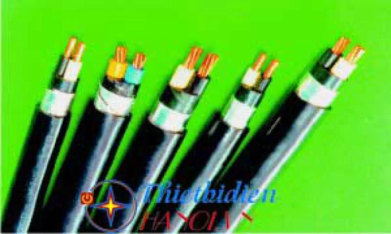 Dây cáp điện Cadivi, Cáp điện kế DK-CVV-2x6