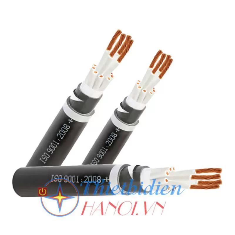 Cáp điều khiển có màn chắn Cadisun CVV-S 10x2.5