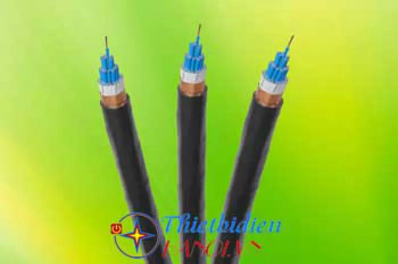 Cáp điều khiển có chống nhiễu Cadivi DVV/Sc-4x1.2 (4x1/1.2) -0,6/1kV