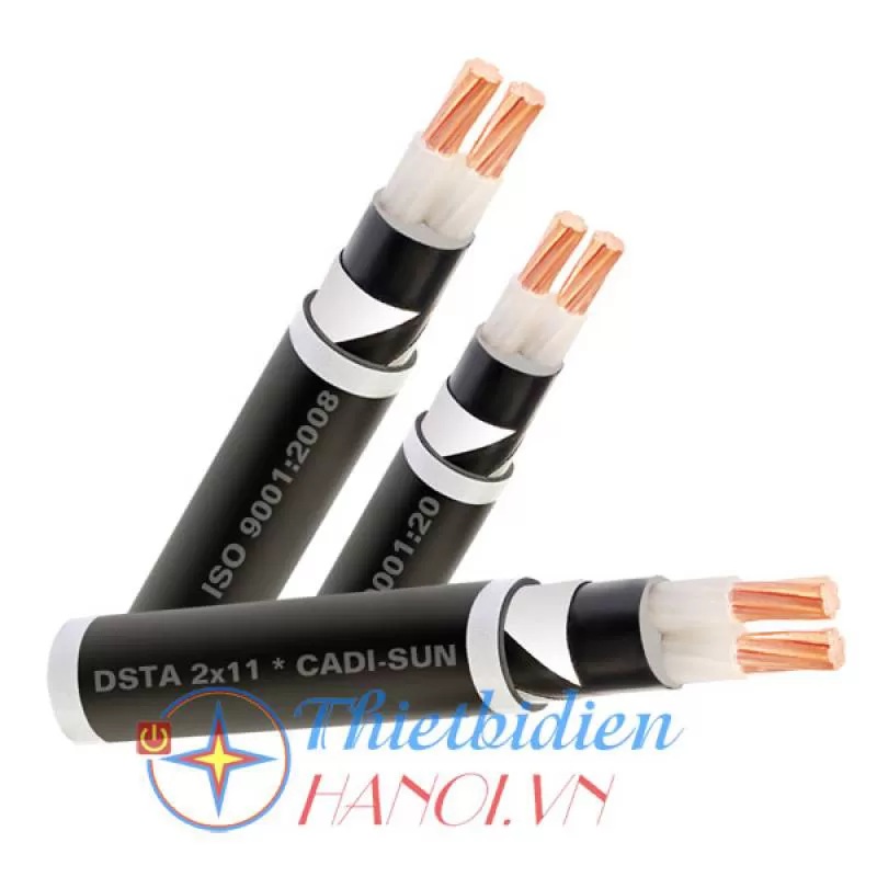 Dây cáp điện Cadisun, Cáp ngầm DSTA 2x70