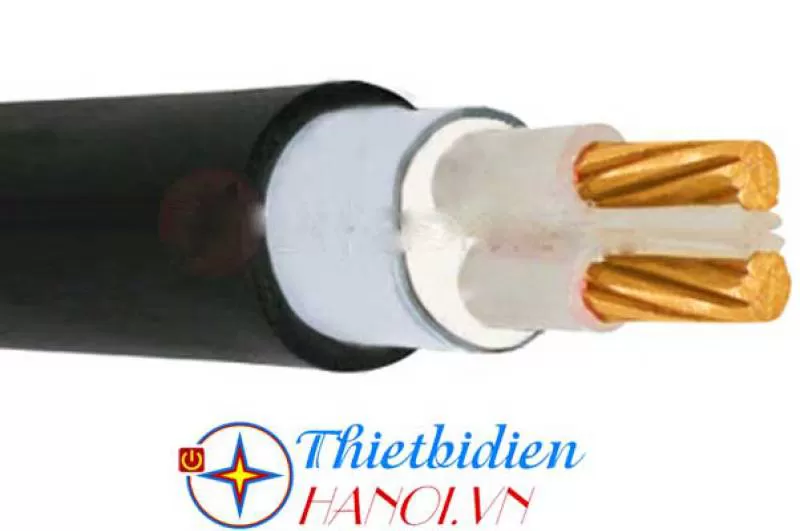 Dây cáp điện Cadivi, Cáp ngầm DSTA 2x10