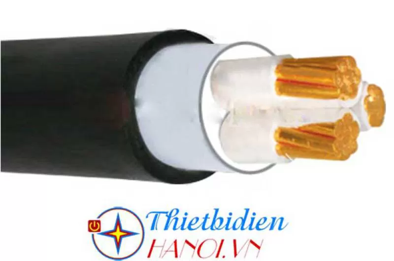 Dây cáp điện Cadivi, Cáp ngầm DSTA 3x2.5