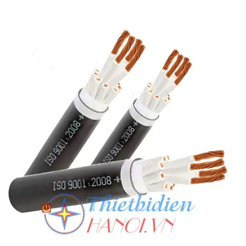 Cáp điều khiển không màn chắn Cadisun CVV 12x 5.5