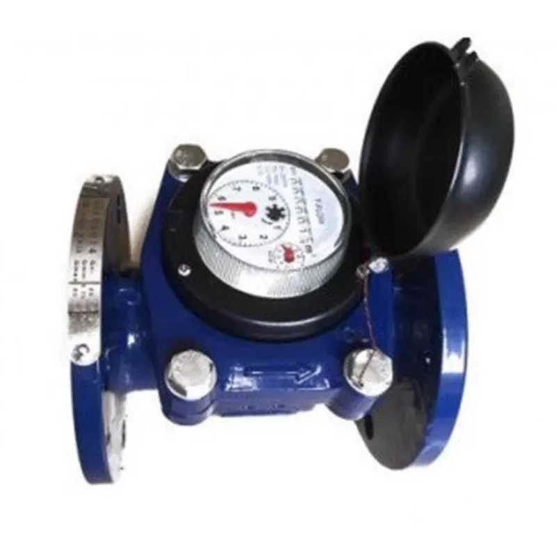 Đồng hồ đo nước thô Mặt Bích P-MAX Cấp A