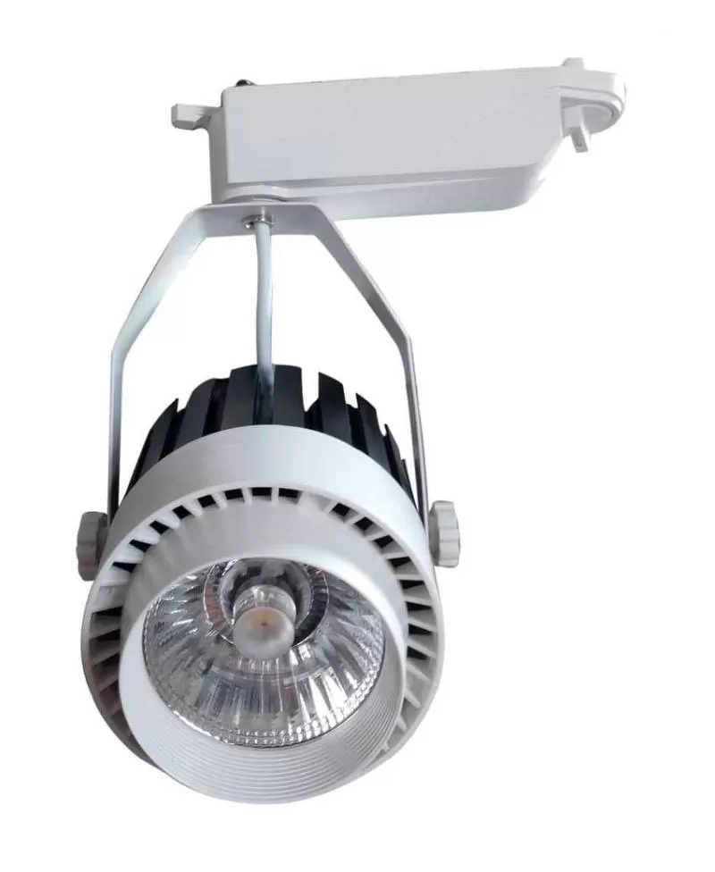 RỌI RAY COB 20W 30w