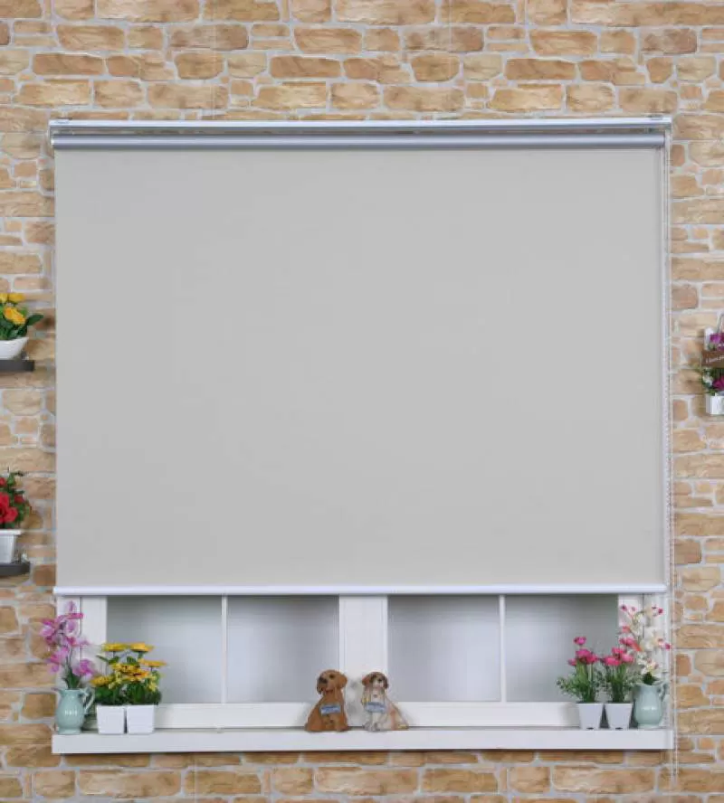 Mẫu rèm cuốn dành cho cửa hướng tây RC 31