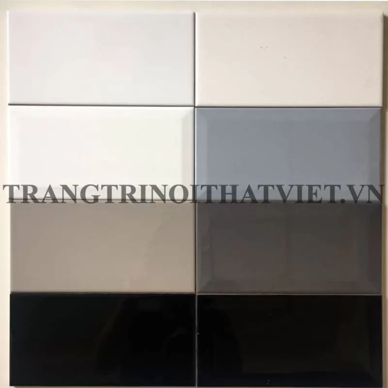 Gạch thẻ 100x200mm
