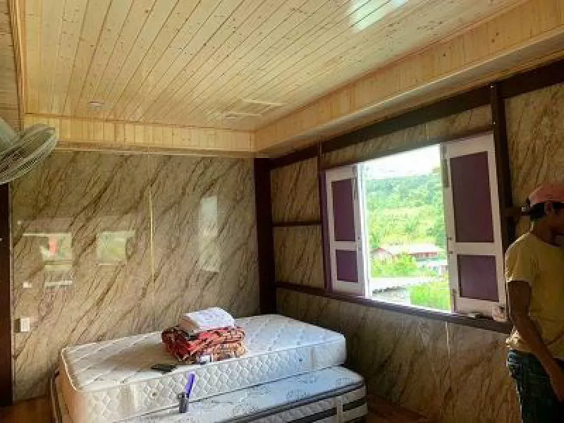 Gỗ thông công nghiệp 03