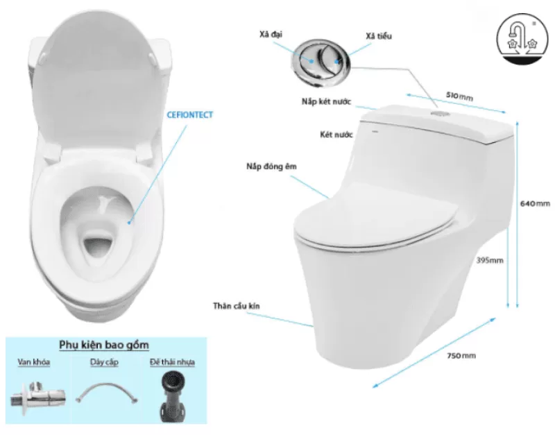 Bồn Cầu TOTO 1 khối CW823RAT8#W/T53P100VR Nắp Đóng Êm TC600VS 