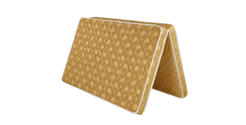NỆM BÔNG TITANIUM GẤM PLUS 2M