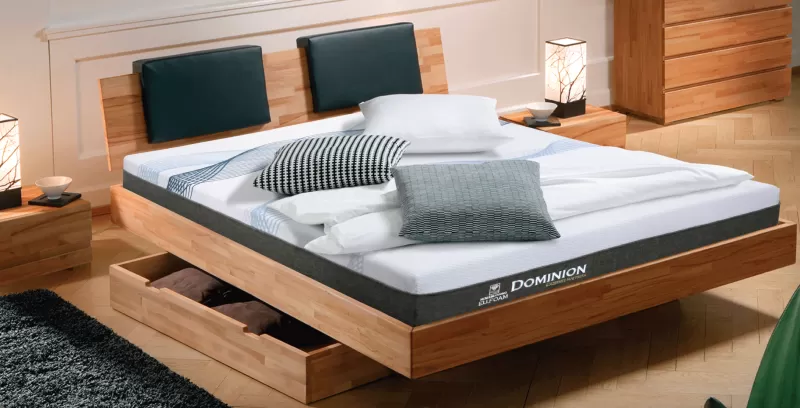 NỆM EU.FOAM DOMINION