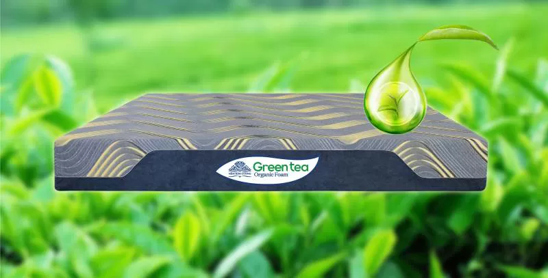 NỆM FOAM GREEN TEA ORGANIC