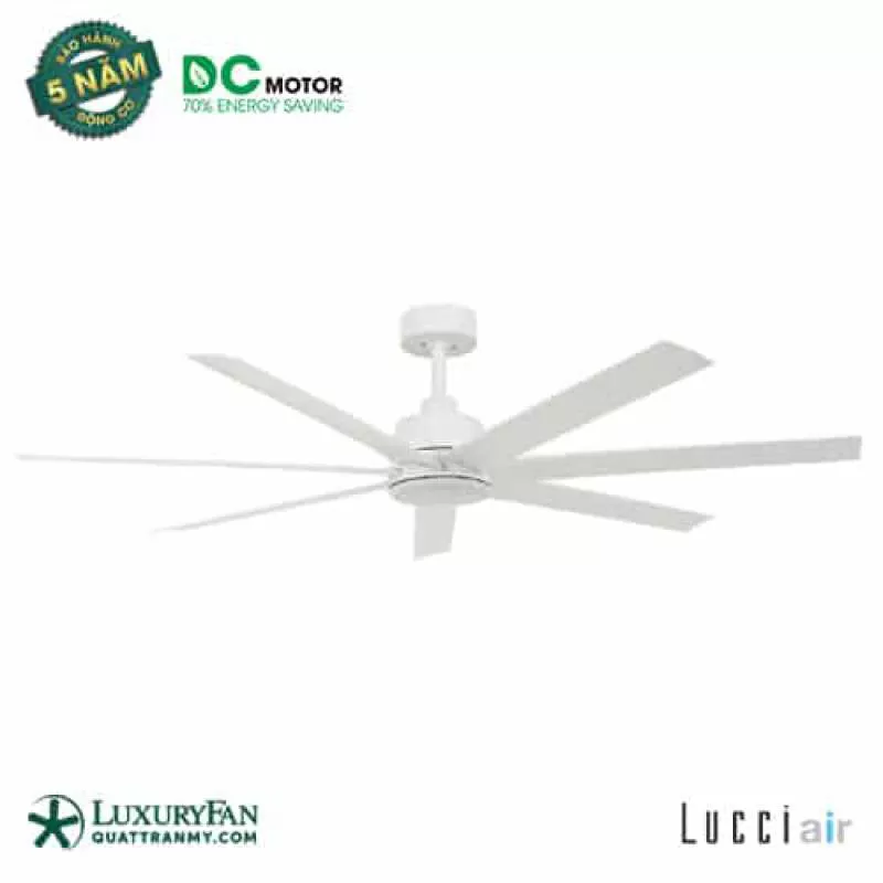 LUCCI ATLANTA DC 213182