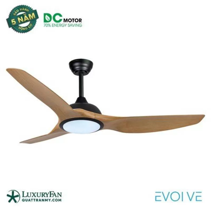 EVOLVE 2405 