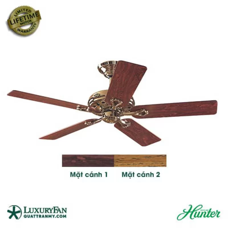 HUNTER SAVOY 24524 