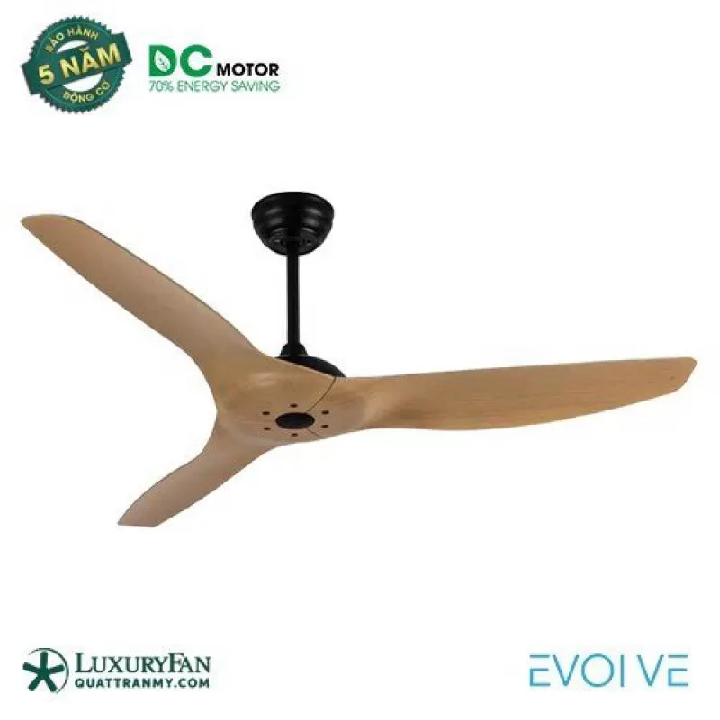 EVOLVE 2409 