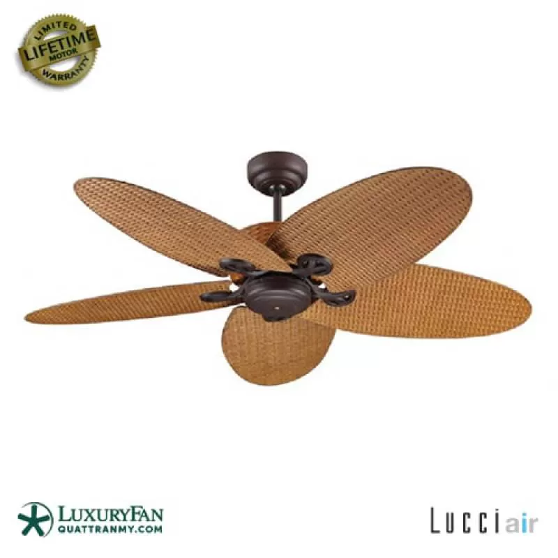 LUCCI FIJIAN – Thanh lý