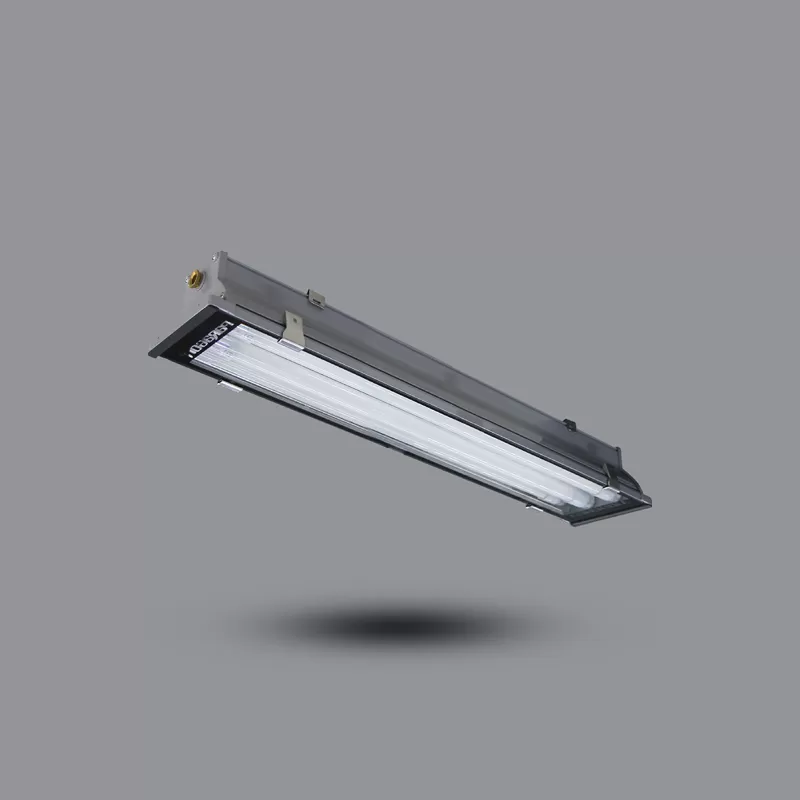 Máng Đèn Chống Bụi Paragon PIFK218L20