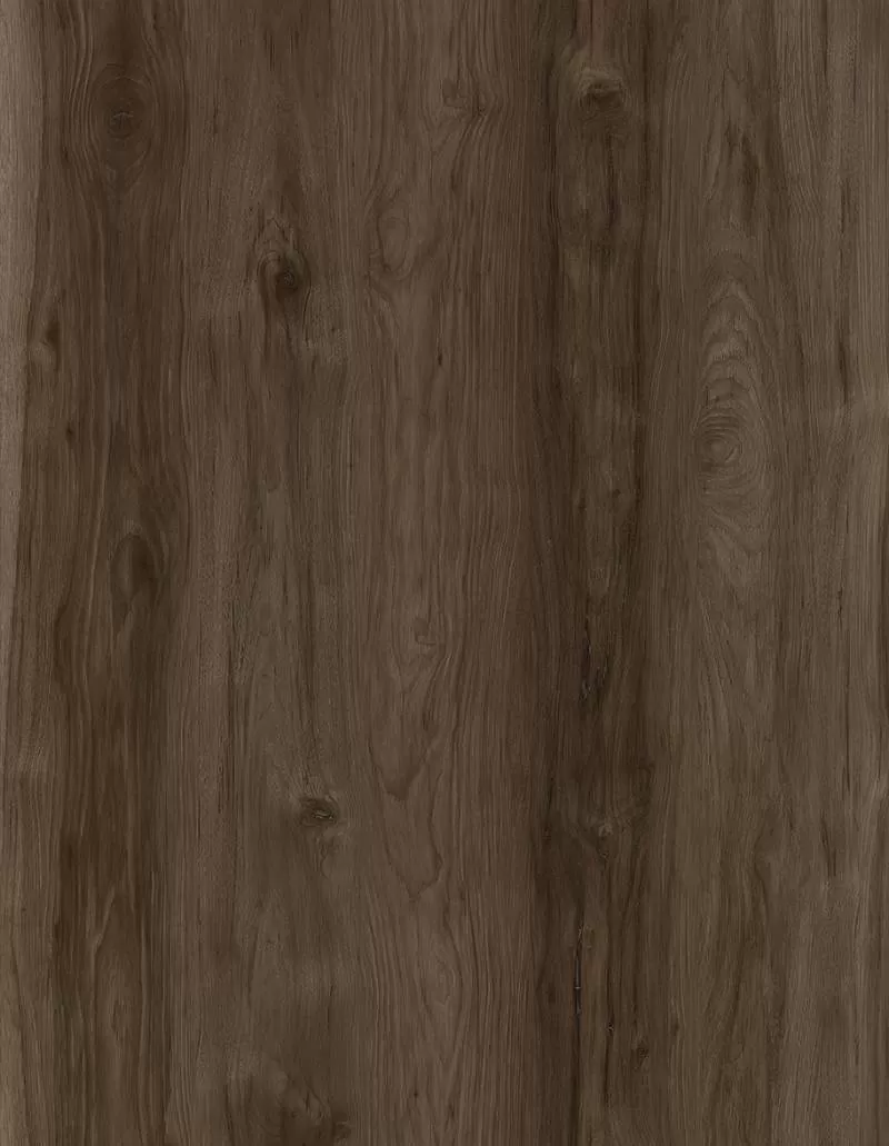 Evian oak