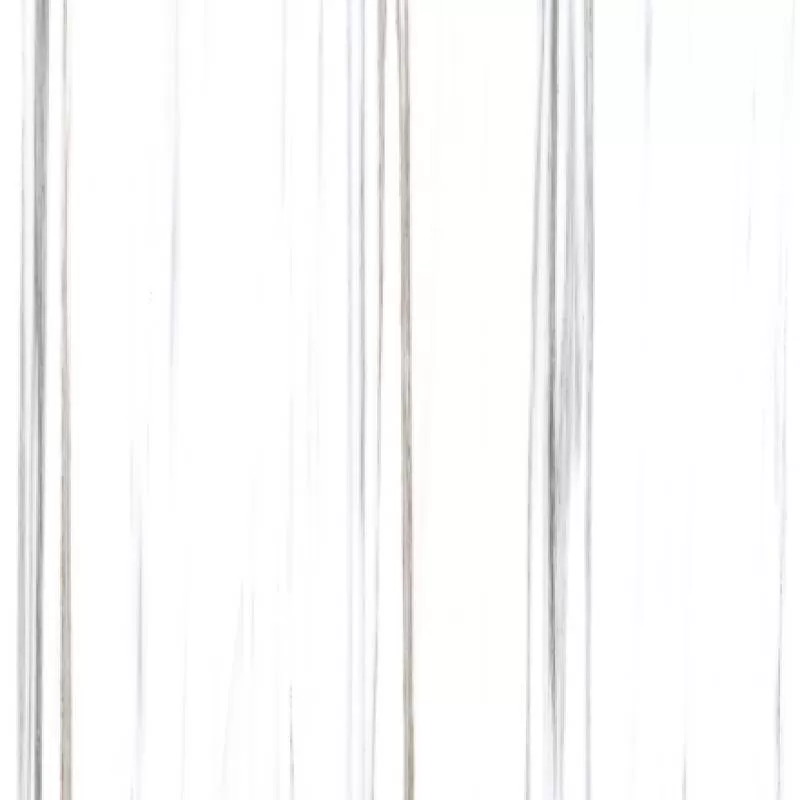 LINE VENATO