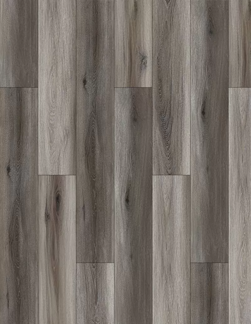 Trend gray